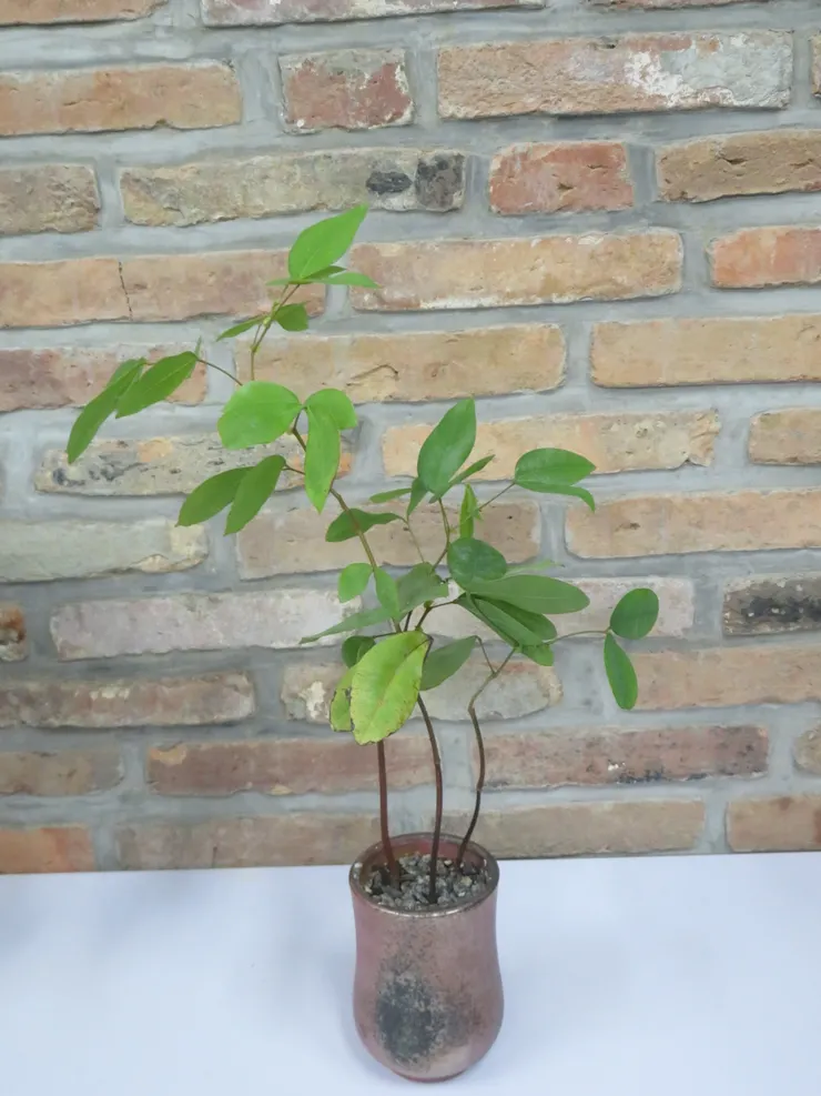 淡水社大112.09.26