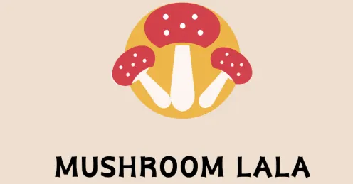 蘑菇lala的沙龍