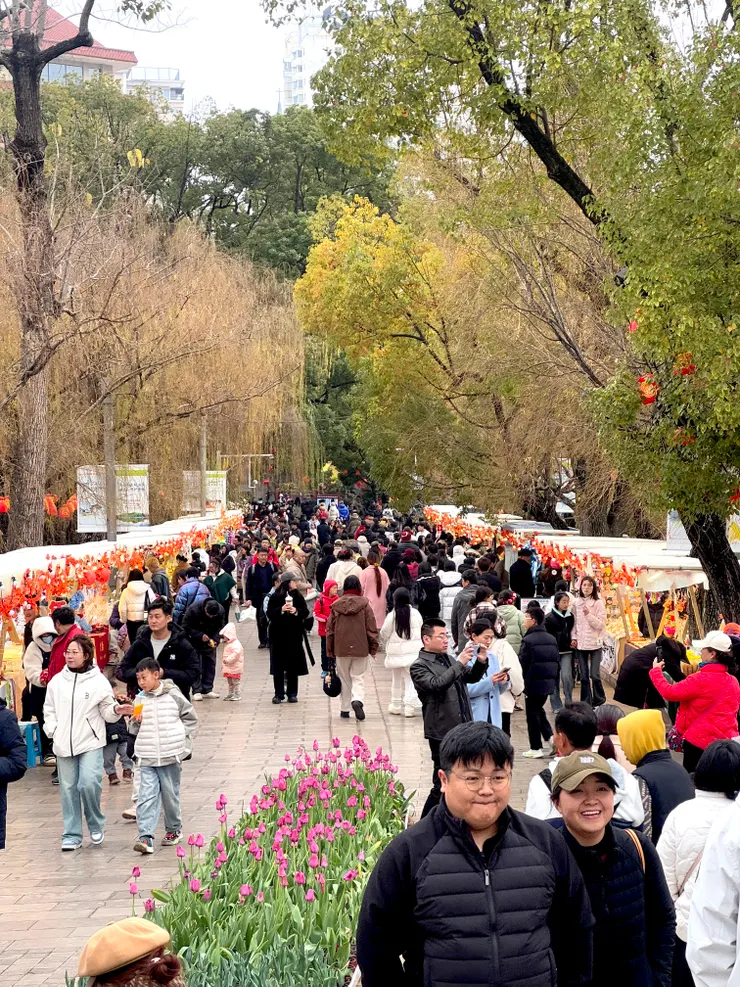 翠湖景區外滿滿的人潮