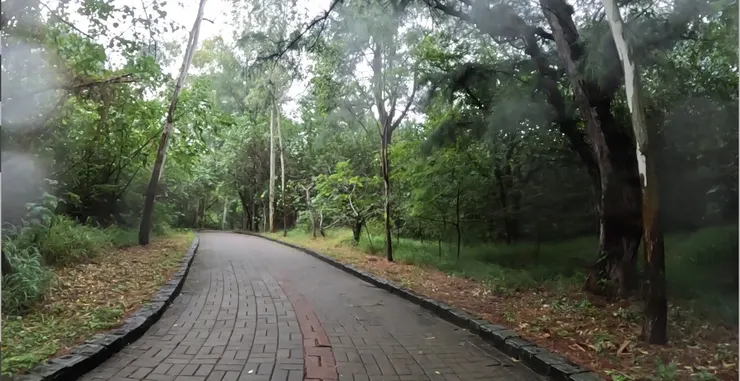 還是柏油路騎起來比較順。