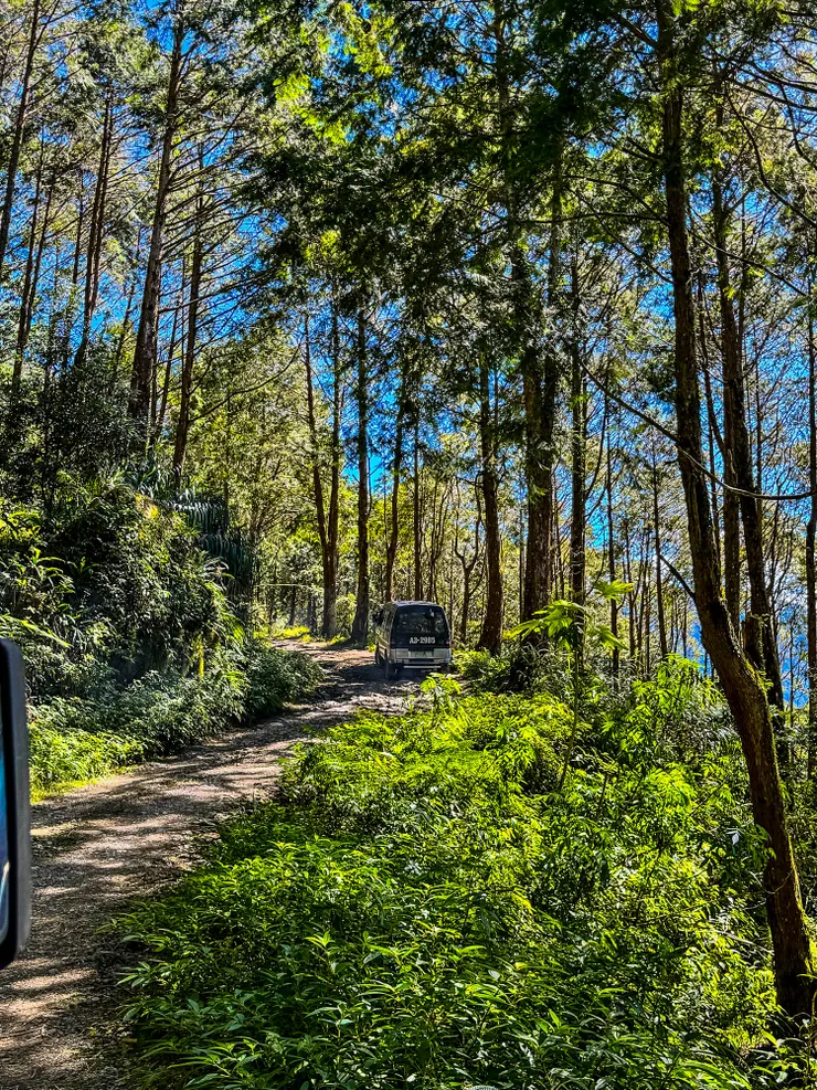 這是少數我可以拍的林道,因為大多數路段都很㒹簸,照片都糊了~🤣