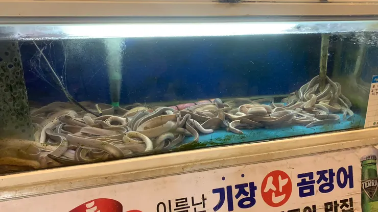 出來看到它們又是不同心情。