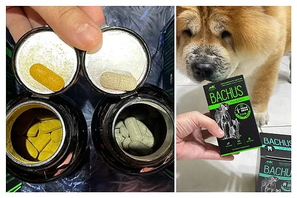 2023 新品上市「王品寵物」-BACHUS瑞士巴吉斯保健錠