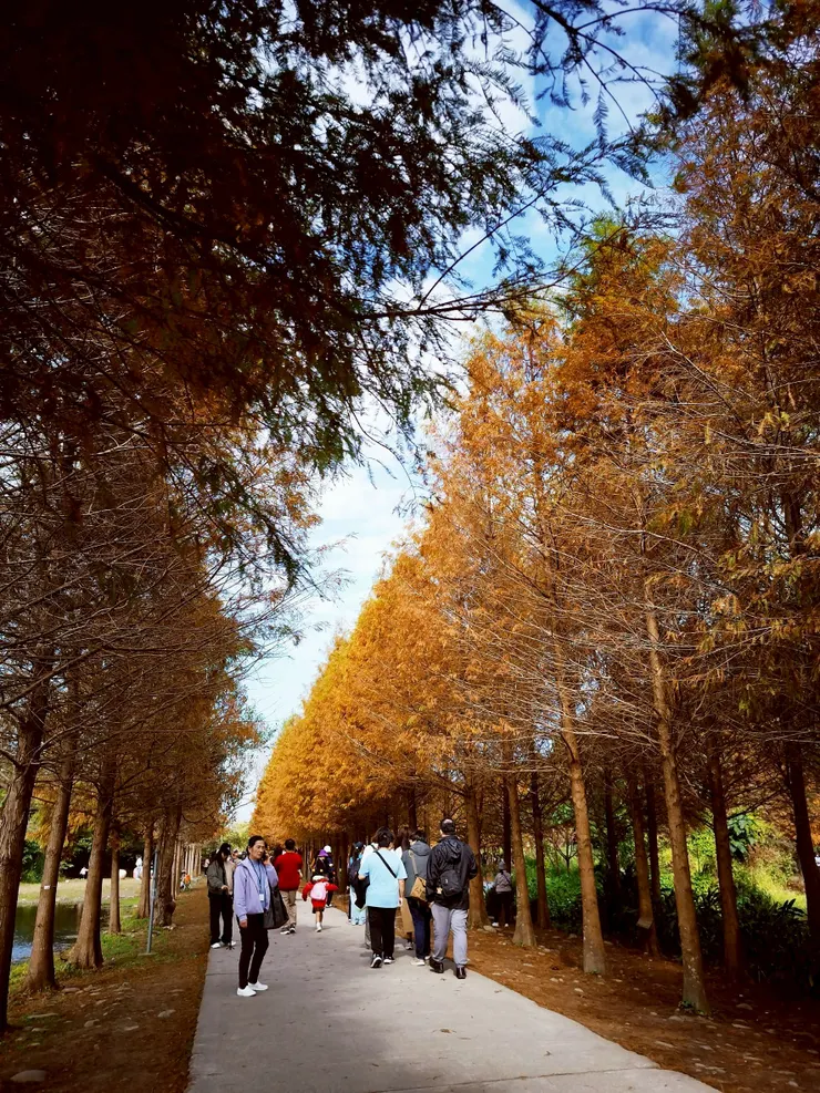 假日民眾較多，拍照會需要等一下😂