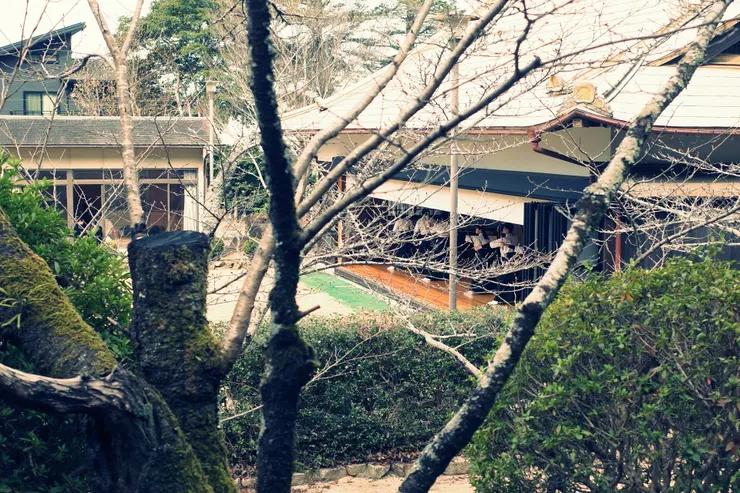 我是第一次親眼看到弓道部的練習