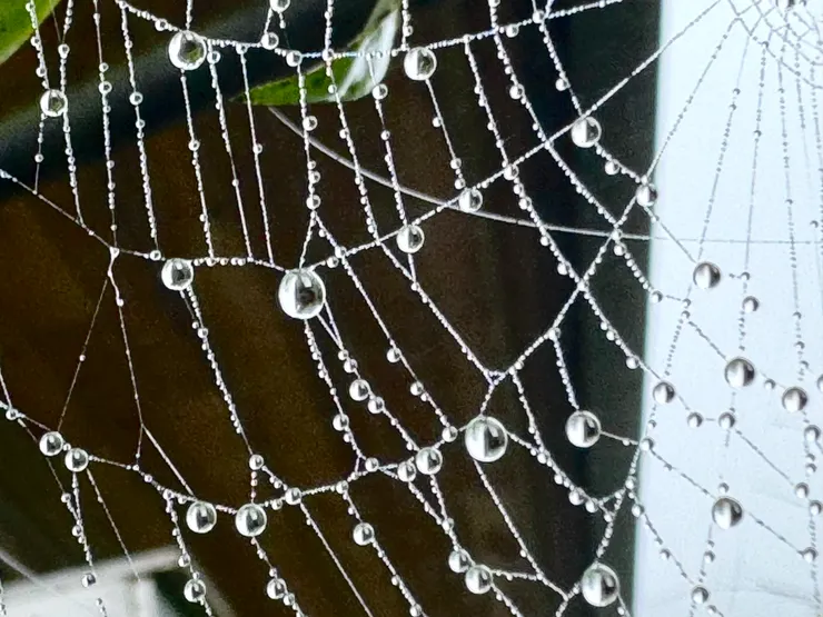 這一張水晶網做「水晶耳環」