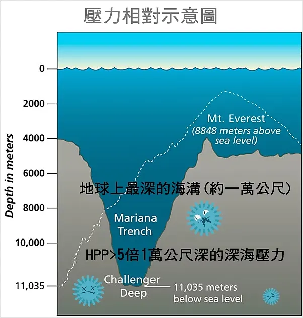 圖片來源:金利食安官網