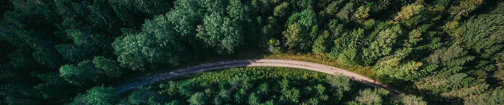 Sophia Zhang的沙龍