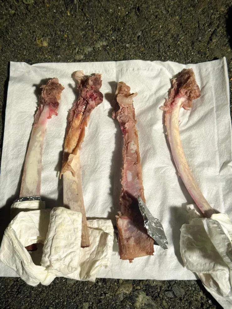 其它人都沒有吃乾淨吔!!!(最左邊是我的)