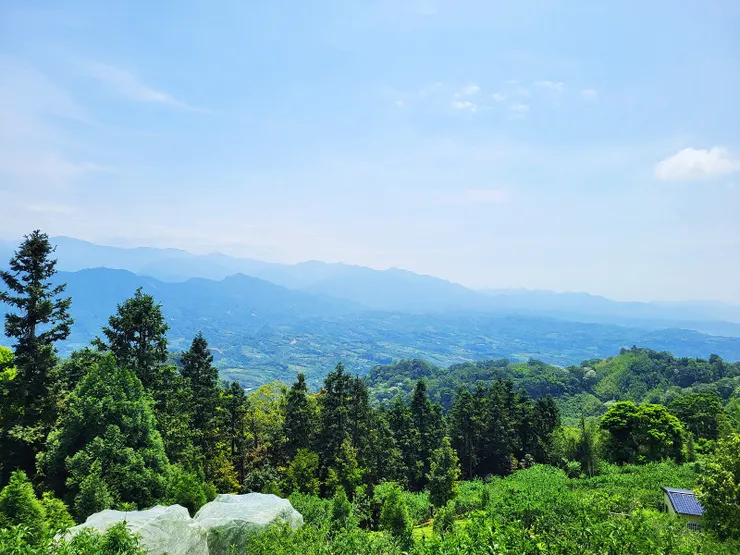 ▲11:50抵達薑麻園觀景台，可瞭望雪山聖稜線