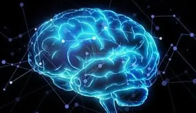 泰瑞的思考旅程