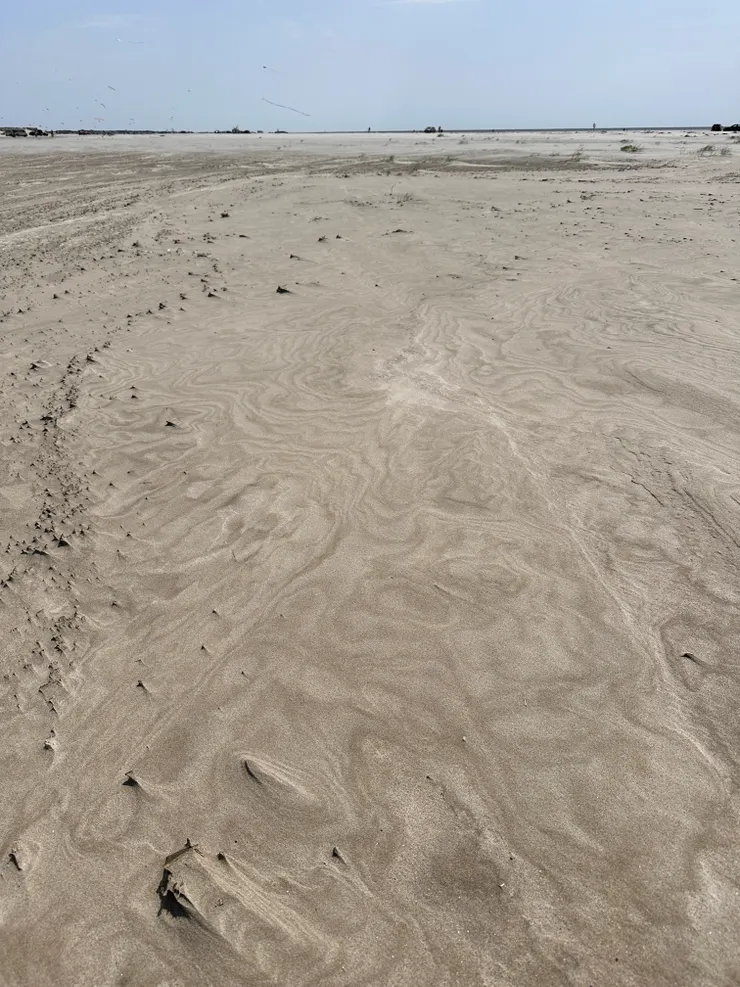 喜歡沙地獨有的美感