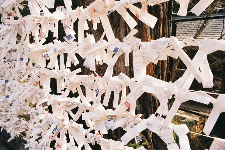 Nikon FM3a - Kodak Gold200