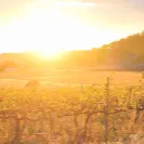 主題論文方博的沙龍