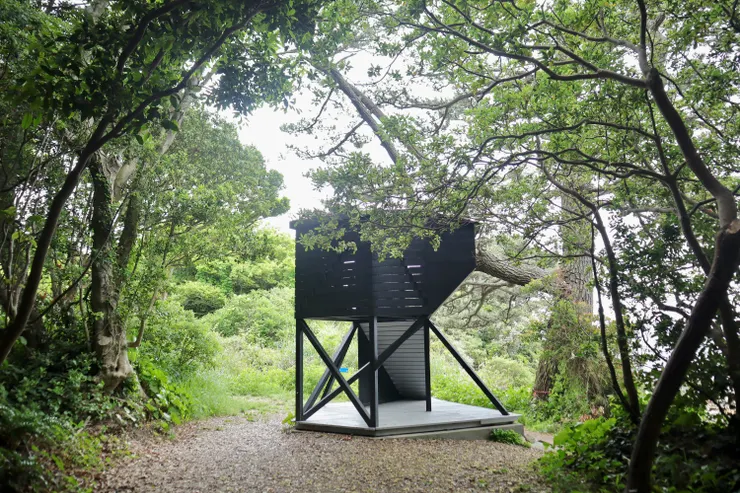 佐久島的秘密基地／阿波蘿（黃色方框20）