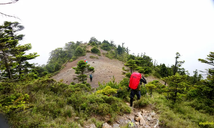 經過一段狹窄的岩壁後來到I LOVE YOU 平台(可惜石堆的字跡已不復見)。
