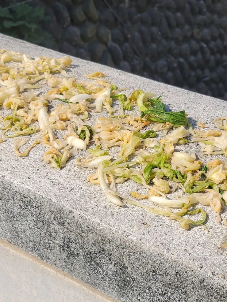 阿嬤鋪在橋上的菜乾們。