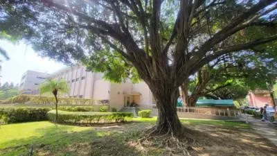 興大校園老榕樹(李建崑攝影)