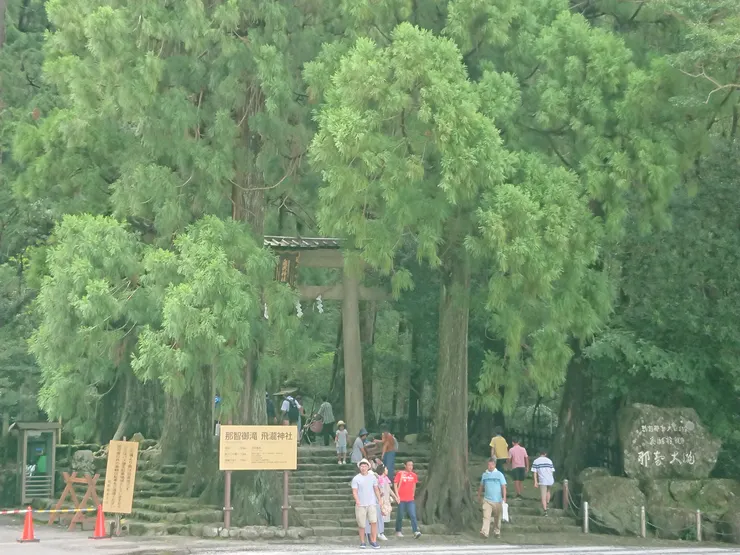 和龍貓森林一樣的場景