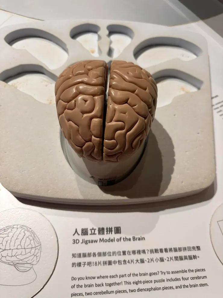 然後蘇打爸就完成了