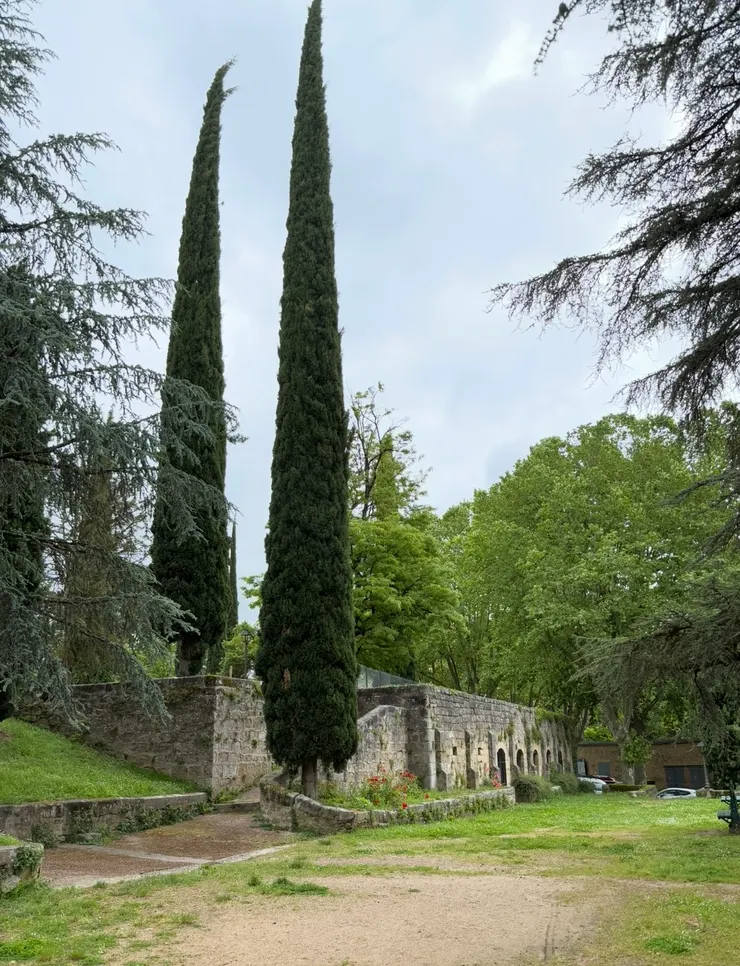 因為喜歡,變成了會想念的地方