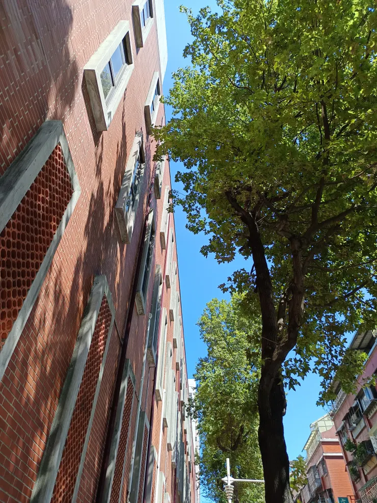 隨手拍的，湊一個圖文並茂。