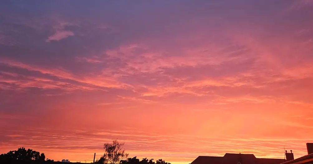 瑅歐不笑的厭世日常