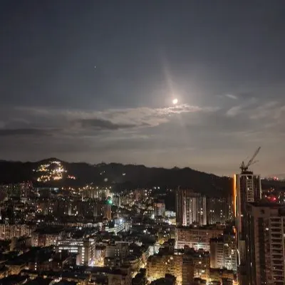 雙城擺渡的沙龍