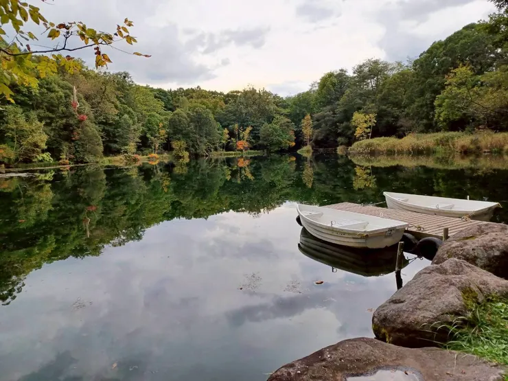 第三日的鳥沼公園