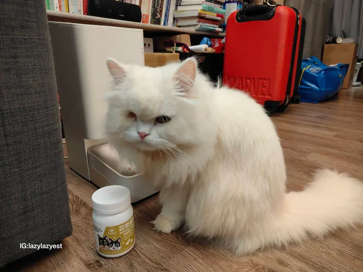 汪喵星球 亮毛護膚鱉蛋粉