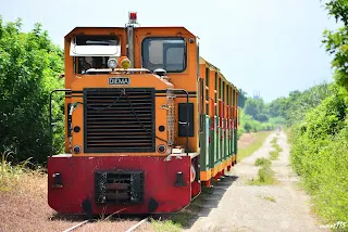 行駛在鄉間小路旁的觀光列車