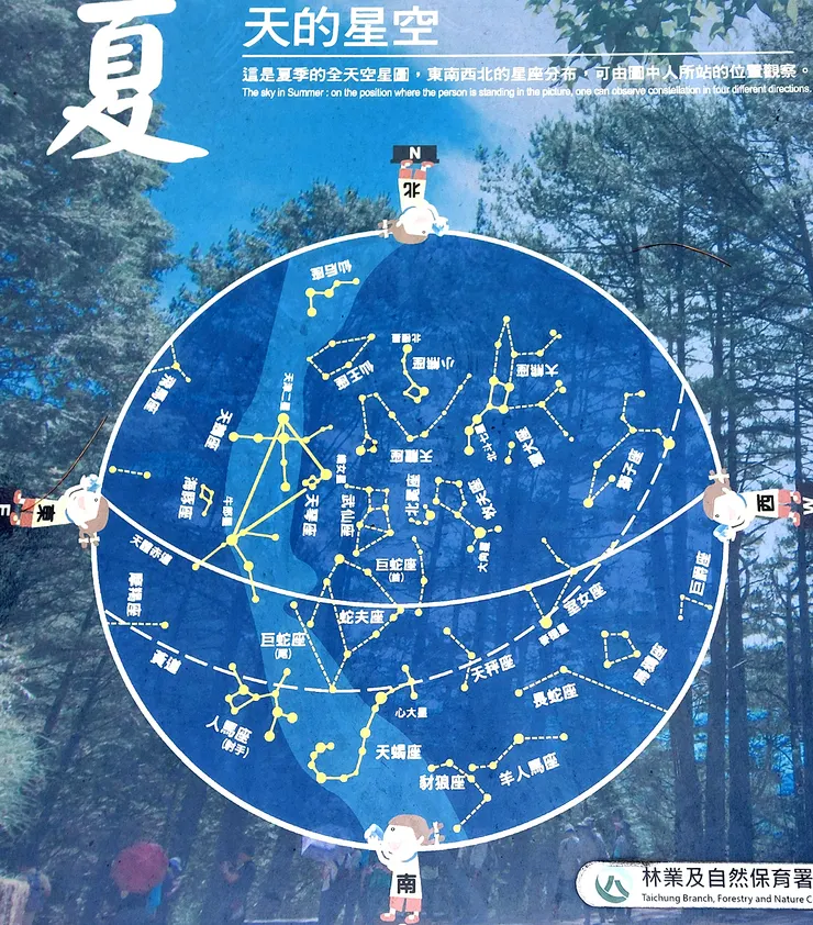 ▲台中「大雪山國家森林遊樂區」/圖片來源：Betty's Jump Diary