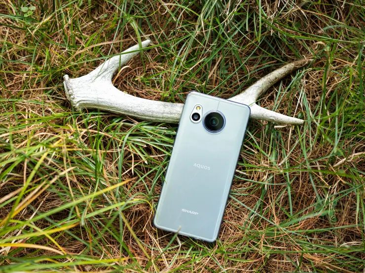 佐美姬下相原溪途中,巧遇山中最高級的幸運物:鹿角。SHARP AQUOS sense8這個嫩芽綠色我很喜歡,和大自然的元素都好搭!