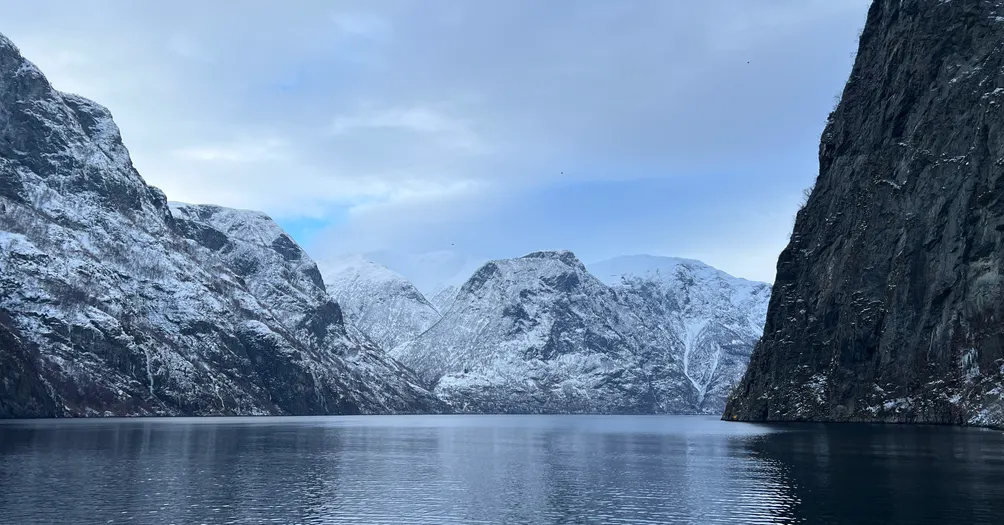 chang vivian 的汽車市場分析