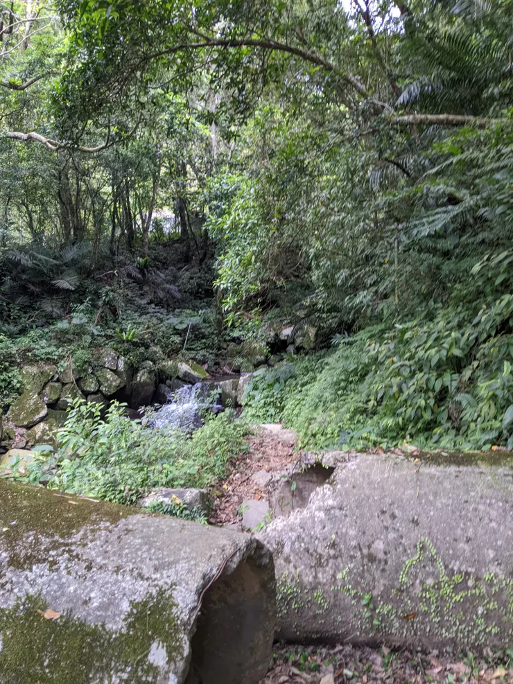 從這裡起登（手怎麼抖了）