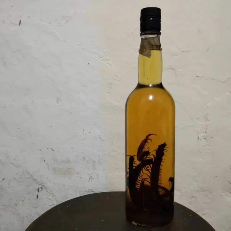 退伍時候以又肥又大的東引紅蜈蚣泡的酒,扭著身軀吐著白絲做垂死掙扎的情景歷歷在目