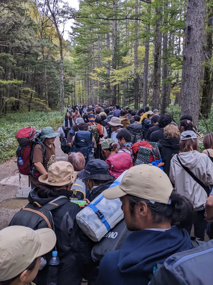 已經一路從巴士站排到樹林間