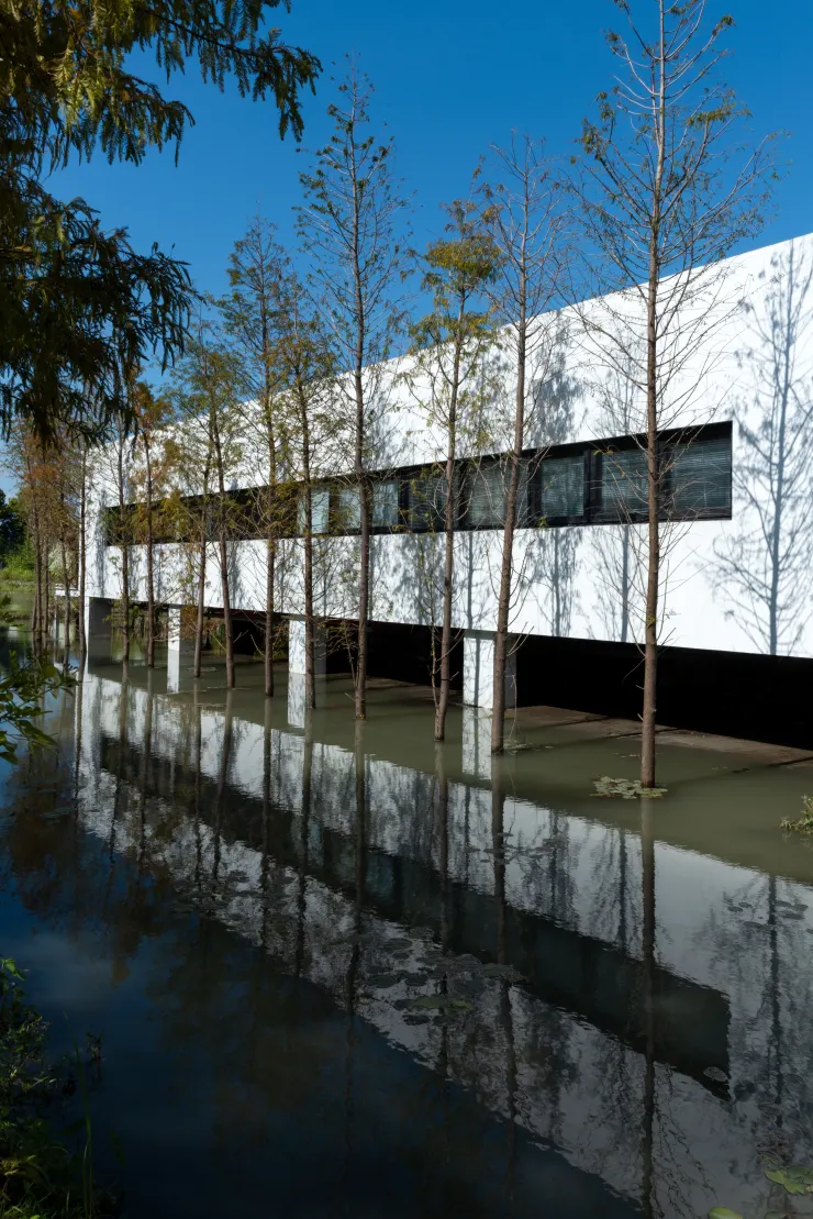 清水模打造整體建築，極簡輕奢的現代風格設計，戶外落雨松樹林環繞，綠意盎然