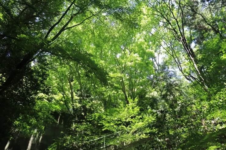 右邊研究路４號前進沒多久