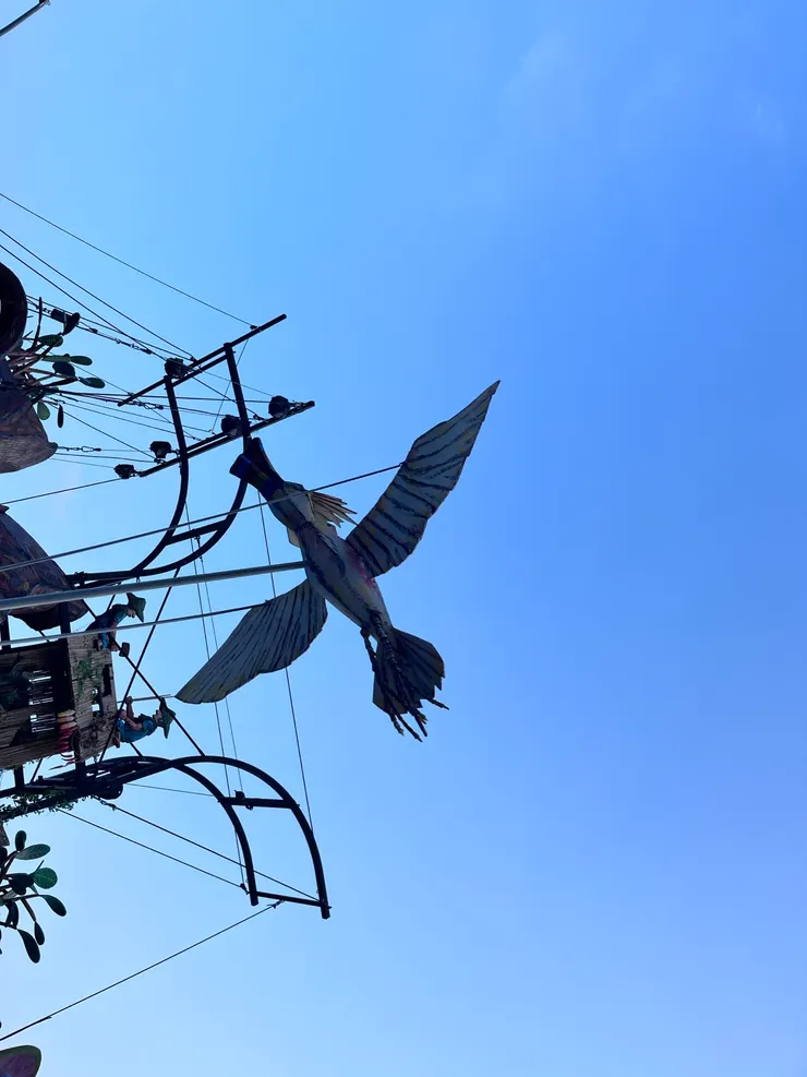 2024/2/25 作者拍攝