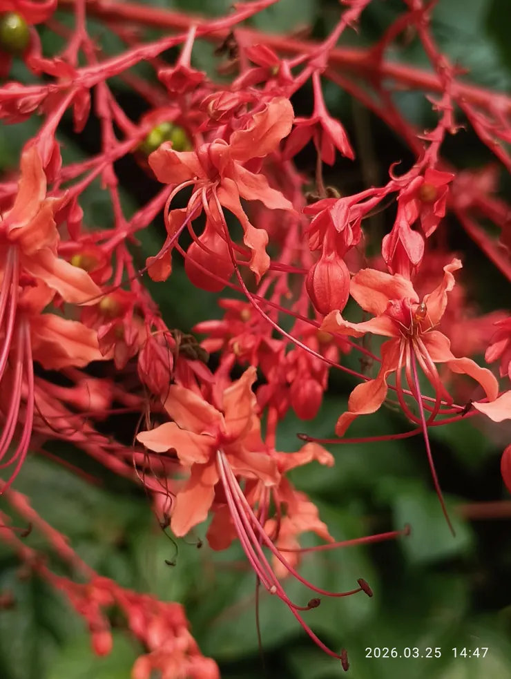 花開花落消幾番