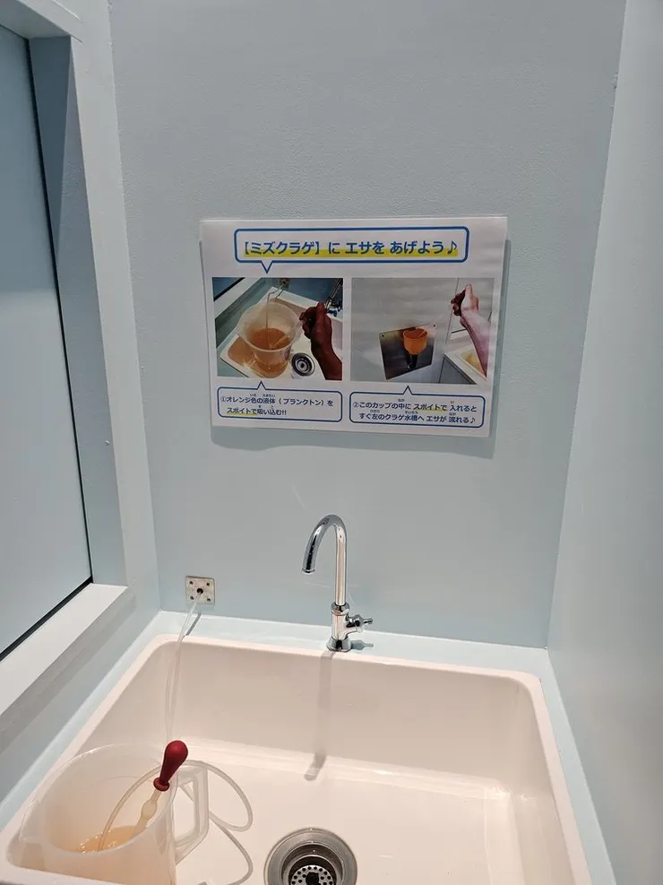 甚至還能親自餵水母食物，不過餵了好像也沒什麼反應