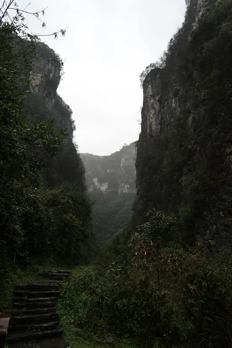 還有峽谷可以看。