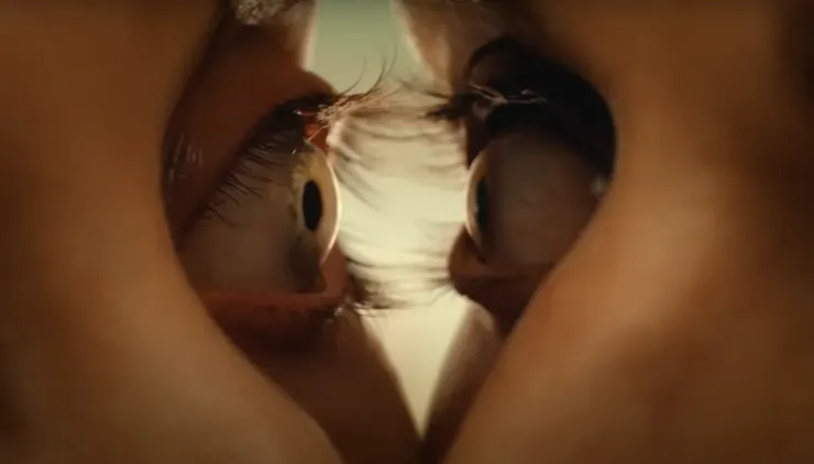 海報便揭露的「睫毛融合」奇觀，是本片肉體變異至的高潮