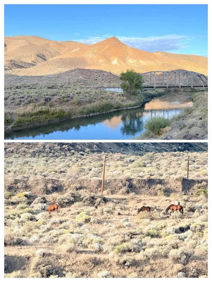景觀變化不同於台灣