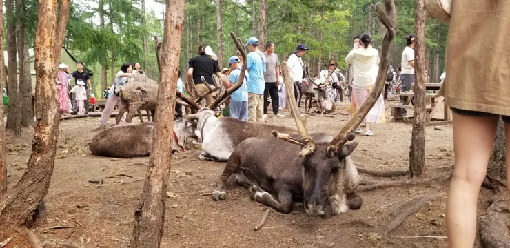 游客地區總是離不開人呢