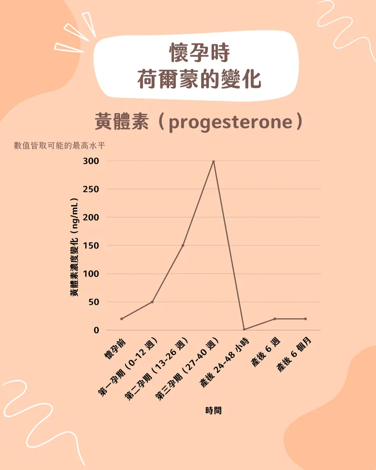 黃體素產期時的濃度變化