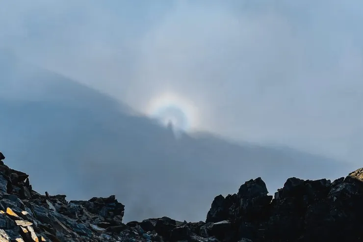 圖片來源： Alpforest 