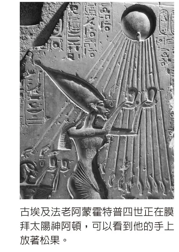 古埃及法老阿蒙霍特普四世手中有松果