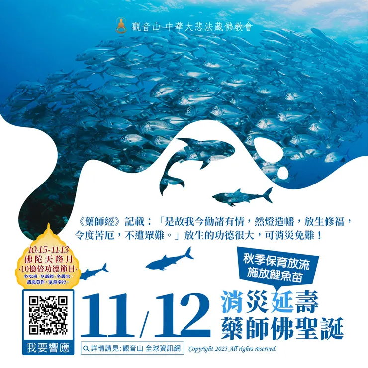 11月12日 消災延壽 藥師佛聖誕 施放鯉魚苗 ──觀音山 秋季保育放流